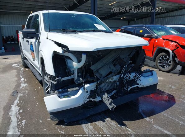 1FTEW1EP7PFA98211 2023 FORD F150 Белый Вид спереди