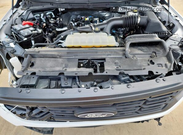 1FTEW2LP8RFB35388 2024 FORD F150 White Vista interior trasera