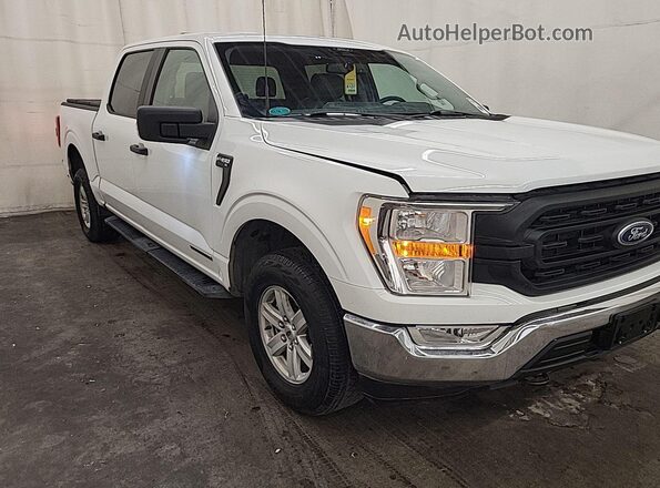 1FTFW1ED0NFC41149 2022 FORD F150  Դիմացի տեսք