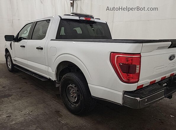1FTFW1ED5NFC41163 2022 FORD F150  