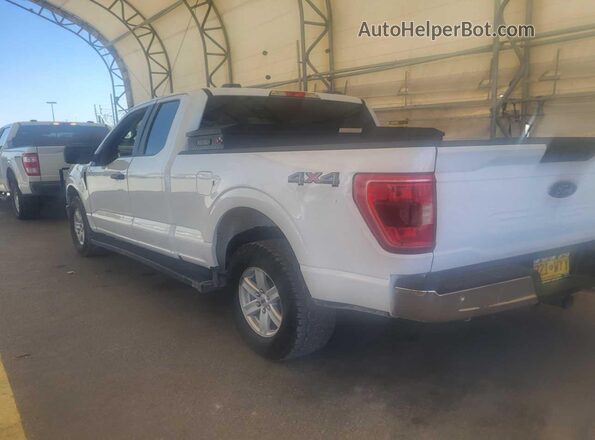 1FTFX1E50MKF07538 2021 FORD F150  Вид підкапотного простору