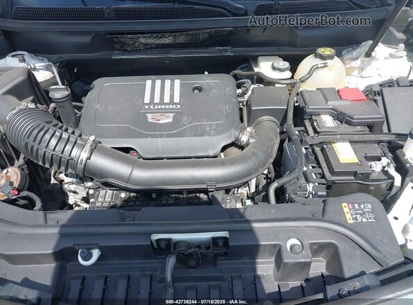 1GYKNAR46MZ163169 2021 CADILLAC XT5 White 