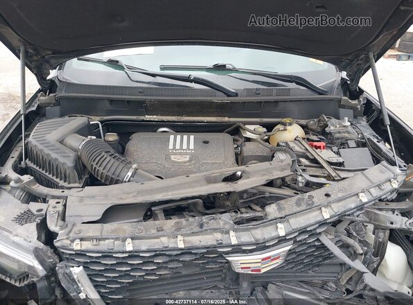 1GYKPAR42MZ215620 2021 CADILLAC OTHER Black Vista trasera
