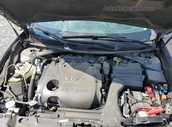 1N4AA6FV3PC508954 2023 NISSAN MAXIMA PLATINUM Серый Вид задней части салона