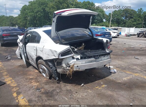 2C3CDXBG9KH695392 2019 DODGE CHARGER White Tył lewy