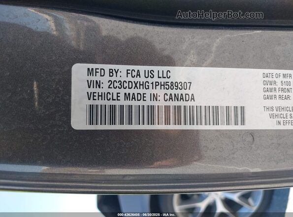 2C3CDXHG1PH589307 2023 DODGE CHARGER Gray Vista del compartimento del motor