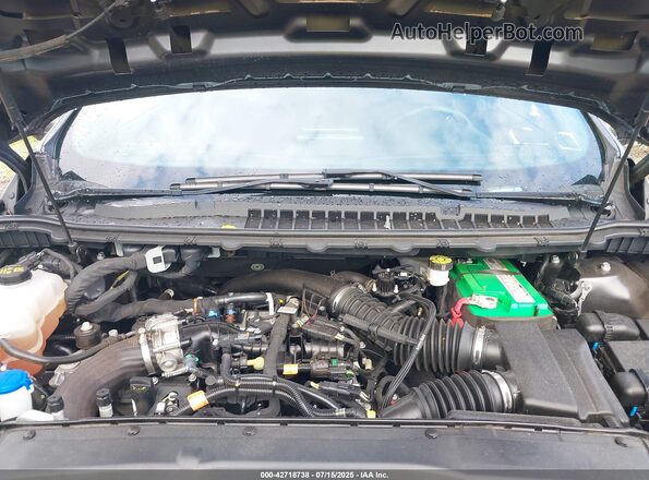2FMPK4AP3MBA05964 2021 FORD EDGE Gray Widok z tyłu