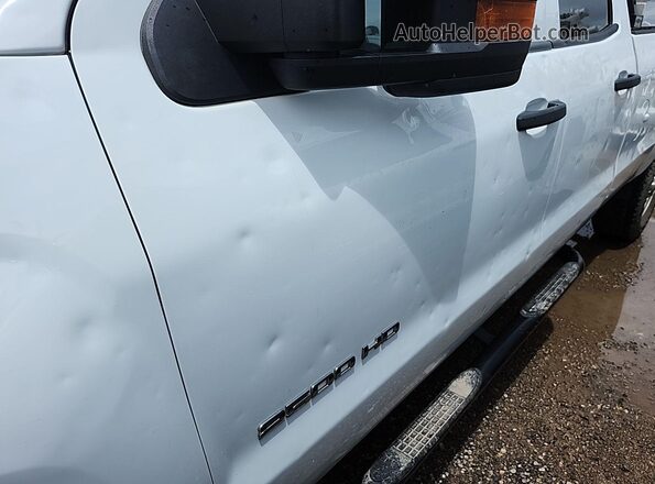 2GC2CREGXK1121555 2019 CHEVROLET SILVERADO  Rear view
