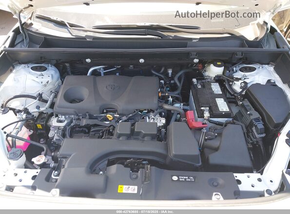 2T3G1RFV3SC537318 2025 TOYOTA LE White Widok z tyłu