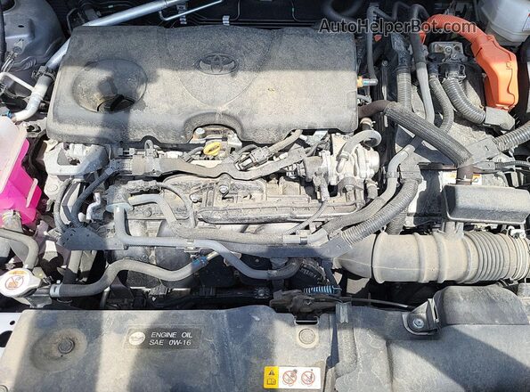 2T3RWRFV5PW174925 2023 TOYOTA LE  