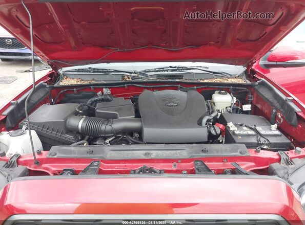 3TMCZ5AN9MM440876 2021 TOYOTA TACOMA Red Вид ззаду