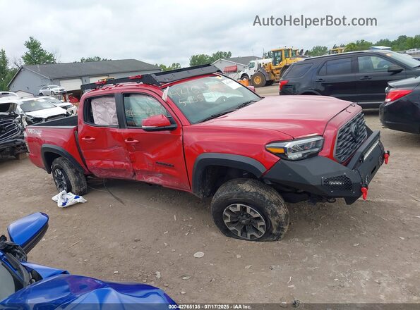 3TMCZ5AN9MM440876 2021 TOYOTA TACOMA Red Вид задньої частини салону