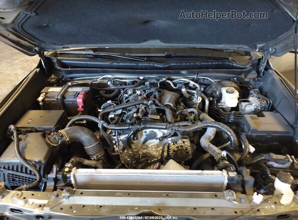3TMLB5JN6RM076802 2024 TOYOTA TACOMA Green 