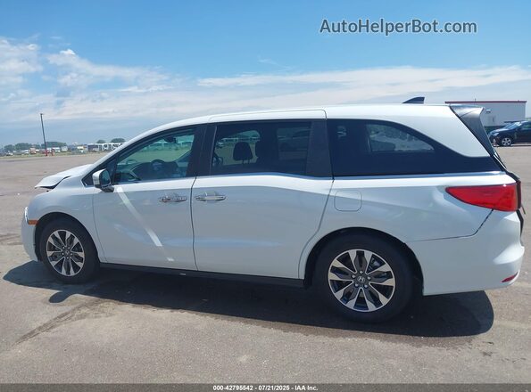 5FNRL6H68RB016472 2024 HONDA ODYSSEY White Սալոնի 360 աստիճան տեսք