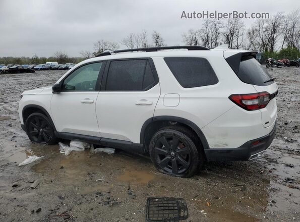 5FNYG1H93SB004362 2023 HONDA PILOT White Tył lewy
