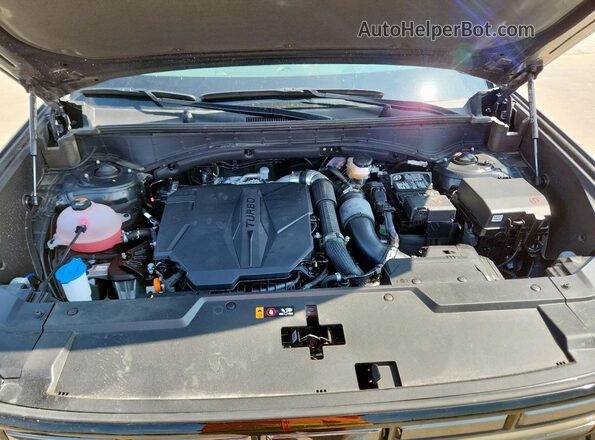 5NMP44GL9RH016043 2024 HYUNDAI SANTA Black 