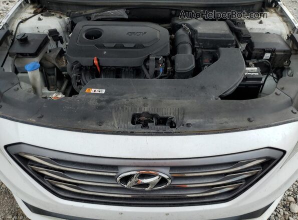 5NPE34AF6HH454582 2017 HYUNDAI SONATA Белый 