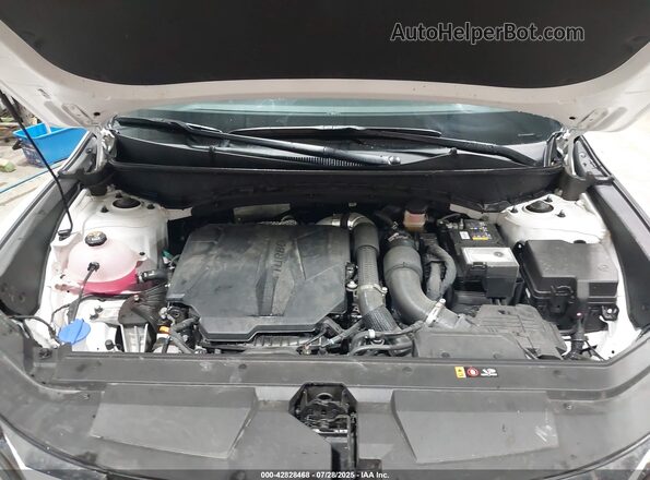 5NTJDDAF2RH093530 2024 HYUNDAI SANTA CRUZ White Rear view