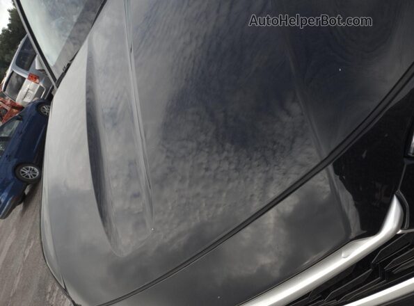 5TDHARAH7MS509112 2021 TOYOTA LE  