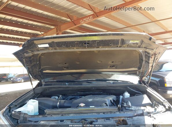 5TFAY5F16MX023953 2021 TOYOTA TUNDRA Черный Вид сзади