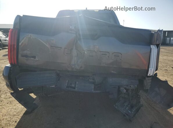 5TFLA5DB1PX097813 2023 TOYOTA TUNDRA Угольный 