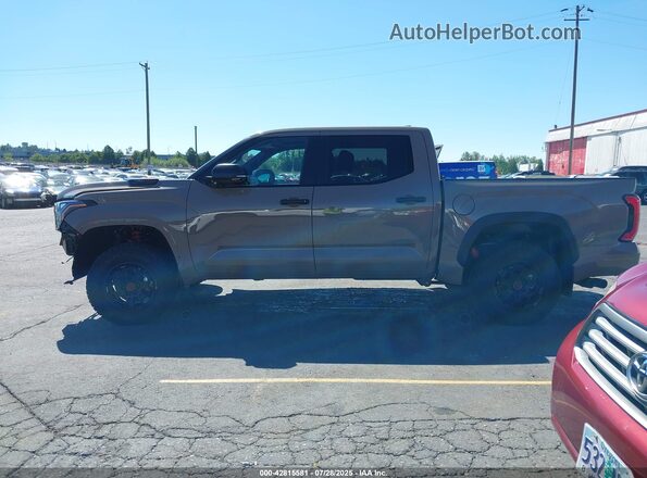 5TFPC5DB4SX106217 2025 TOYOTA TUNDRA HYBRID Коричневый 