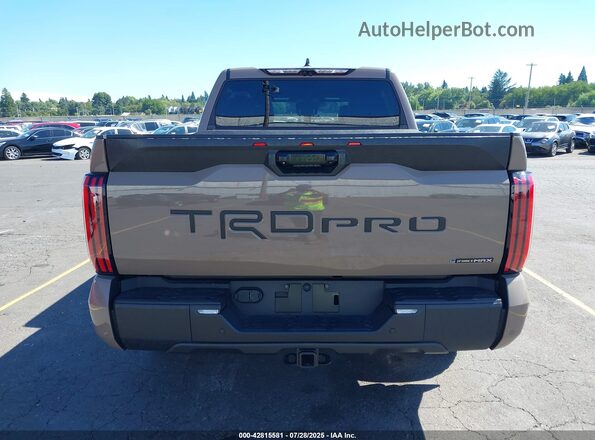 5TFPC5DB4SX106217 2025 TOYOTA TUNDRA HYBRID Коричневый 