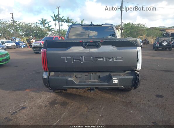 5TFPC5DB9RX043349 2024 TOYOTA TUNDRA HYBRID Gray 