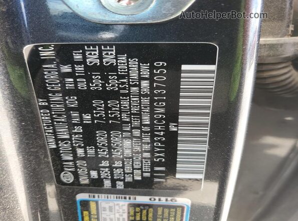 5XYP34HC9MG137059 2021 KIA TELLURIDE Gray Widok naklejki z numerem VIN
