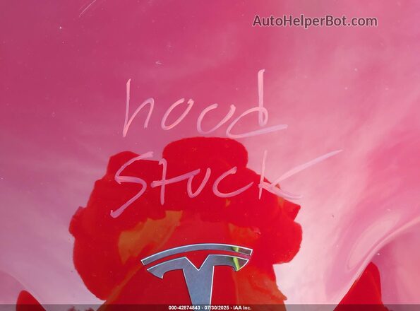 5YJYGDEE8MF285788 2021 TESLA MODEL Y Red Вид ззаду