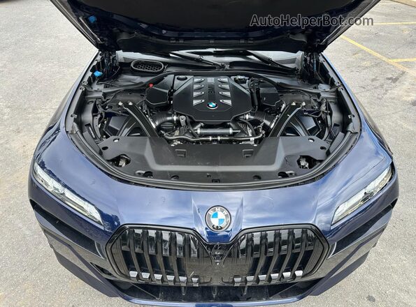 WBA33EJ06PCM02319 2023 BMW 7 SERIES Blue Vista de los asientos traseros
