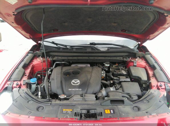 JM3KFBCMXM1303358 2021 MAZDA CX-5 Red Հետևի տեսք