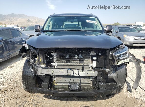 JN8AZ2AF7R9765261 2024 INFINITI QX80 Gray Widok wnętrza 360 stopni