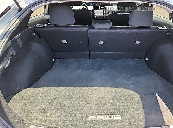 JTDKAMFU4M3144050 2021 TOYOTA LIMITED  Rear seats view
