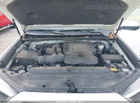 JTEEU5JR1M5245463 2021 TOYOTA 4RUNNER White Widok z tyłu