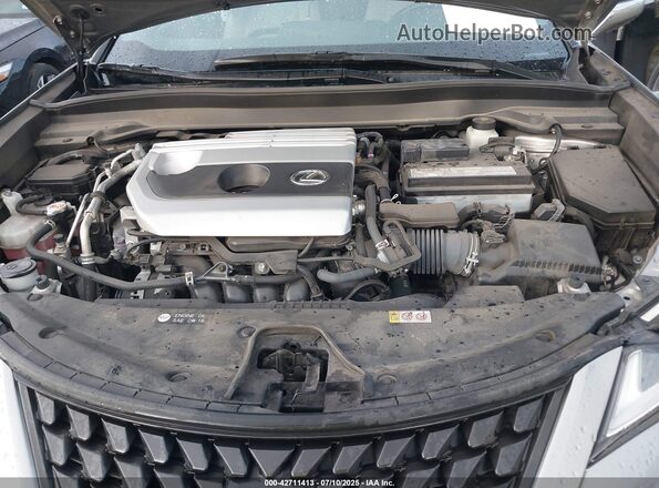 JTHP3JBH1M2038005 2021 LEXUS UX 200 Tan Vista trasera