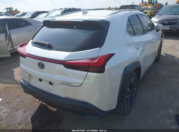 JTHP3JBH3L2025481 2020 LEXUS UX 200 White Հետևի աջ