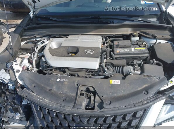 JTHP3JBH3L2025481 2020 LEXUS UX 200 White Հետևի տեսք