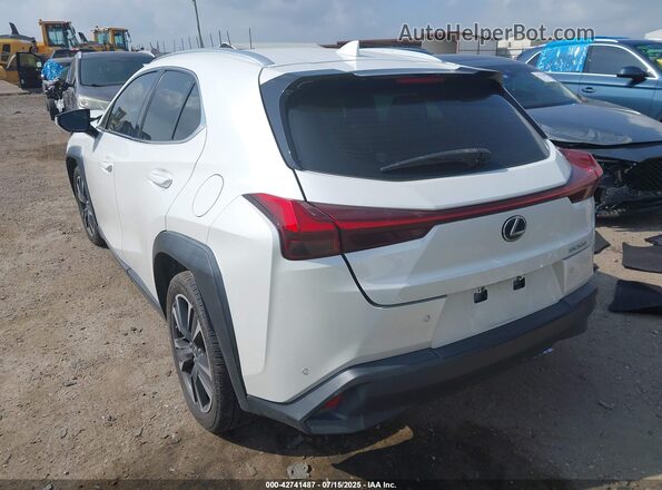 JTHP3JBH3L2025481 2020 LEXUS UX 200 White Հետևի ձախ