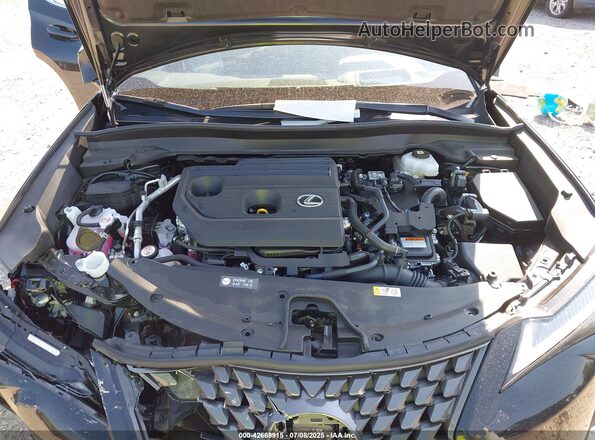 JTHUCJDH3S2005889 2025 LEXUS UX 300H Black Rear view