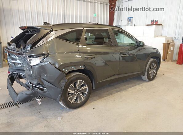 KM8JBCD10RU232182 2024 HYUNDAI TUCSON HYBRID Gray 