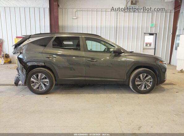 KM8JBCD10RU232182 2024 HYUNDAI TUCSON HYBRID Gray 