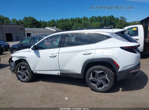 KM8JFDD28RU181050 2024 HYUNDAI TUCSON PLUG-IN HYBRID White 