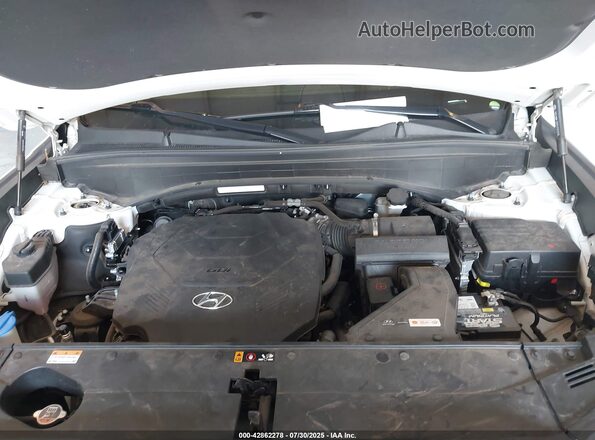 KM8R7DHEXMU212702 2021 HYUNDAI PALISADE White Widok z tyłu