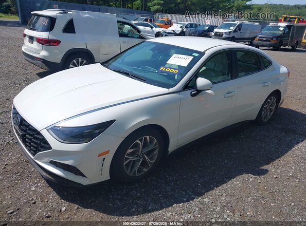 KMHL64JAXPA301479 2023 HYUNDAI SONATA White 