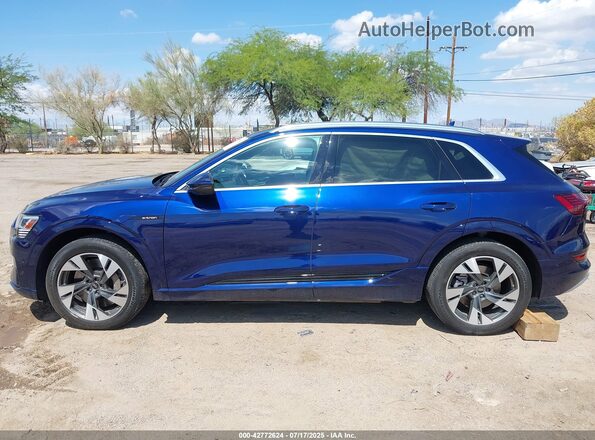 WA1LAAGE5NB025516 2022 AUDI E-TRON Blue 