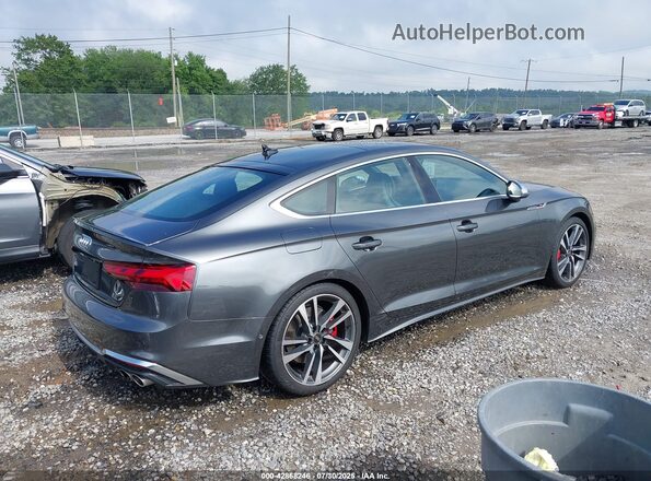 WAUB4CF59RA053429 2024 AUDI S5 Gray Trasero derecho