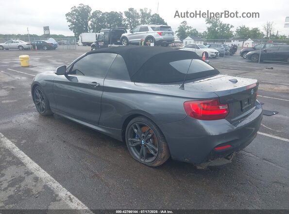 WBA2L3C31HV667579 2017 BMW M2 Gray უკანა მარცხენა