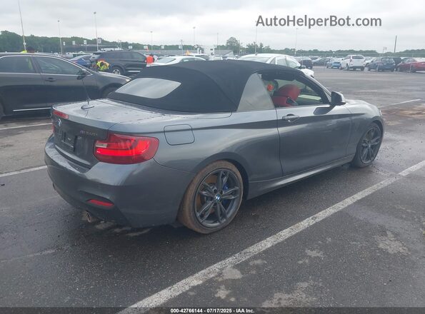 WBA2L3C31HV667579 2017 BMW M2 Gray უკანა მარჯვენა