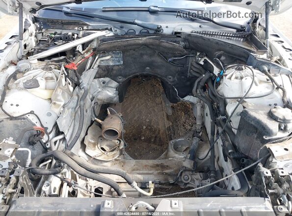 WBA6D0C56GD927803 2016 BMW 6 SERIES White Вид ззаду